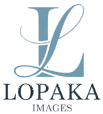 cropped cropped image 3 1.png