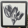 Etched Tulip Tile Coaster