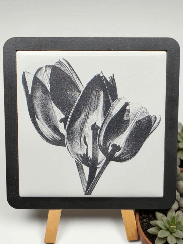 Etched Tulip Tile Coaster