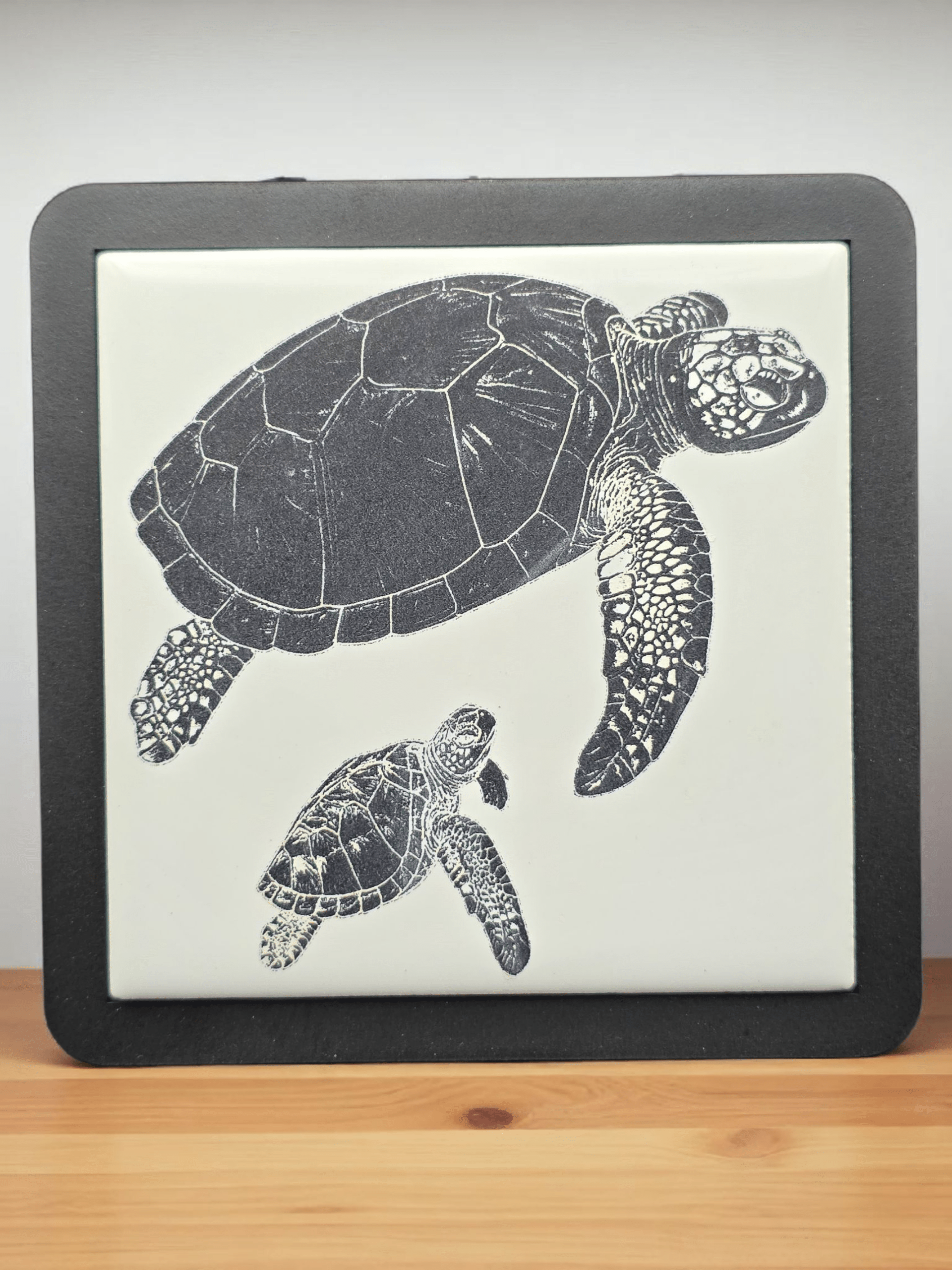 Mother and Baby Sea Turtle