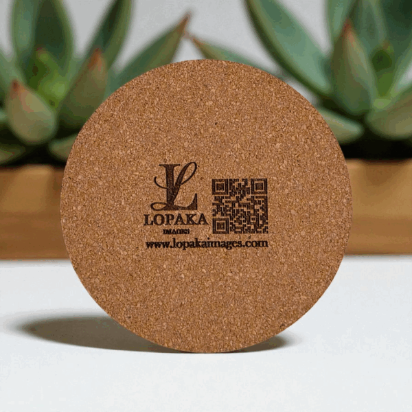 single tropical cork coaster